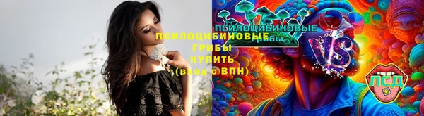 бошки Каменск-Шахтинский