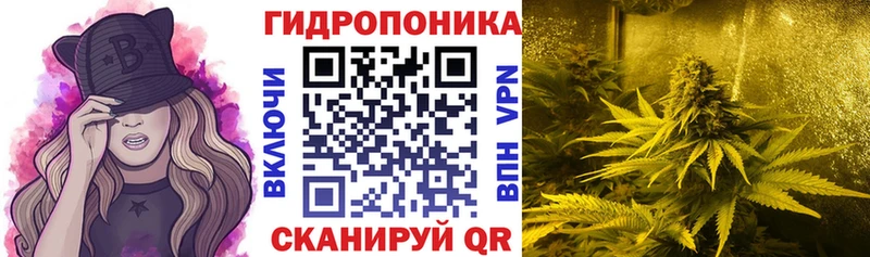 Каннабис конопля  Купить закладки  Солнечногорск 